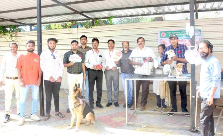 पाळीव प्राण्यांची आरोग्य तपासणी करुन लसीकरण