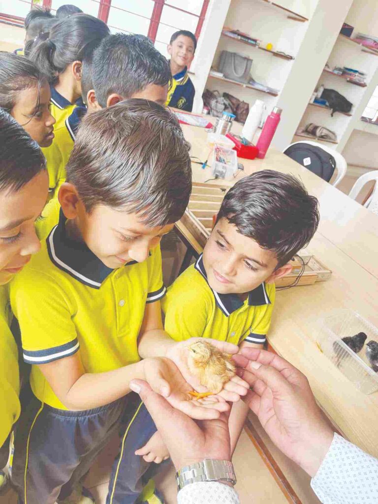 अहिल्यानगर येथील आयकॉन पब्लिक स्कूलची  आंतरशालेय विज्ञान स्पर्धेत उल्लेखनीय कामगिरी